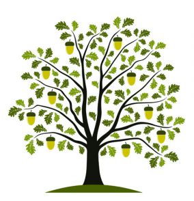 Изображение Окружающий мир. Лиственные деревья. на Schoolofcare.ru!