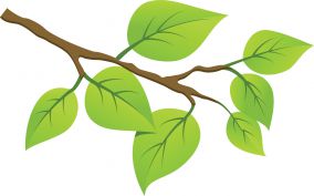 Изображение Окружающий мир на Schoolofcare.ru!