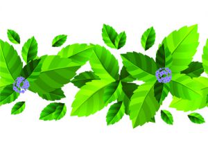Изображение Окружающий мир. Лекарственные растения. на Schoolofcare.ru!