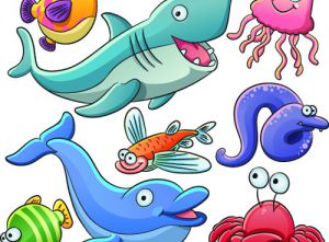 Изображение Окружающий мир. Морские животные. на Schoolofcare.ru!