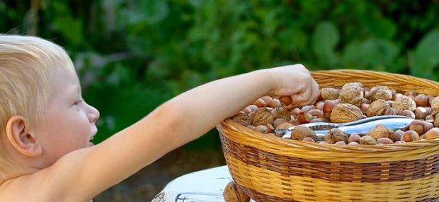 Изображение Дефицит железа у детей на Schoolofcare.ru!