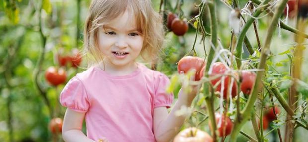 Изображение Генномодифицированные продукты для детей на Schoolofcare.ru!